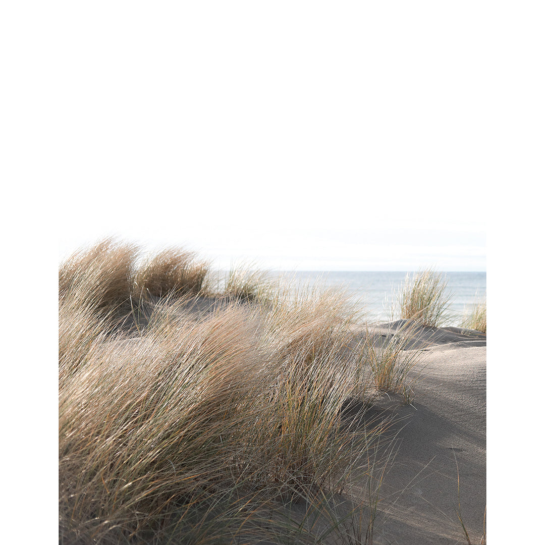 Wallpaper-Panel Dunes 4h. for Bedroom Living Room Kitchen 2.12x2.7m Smart Art Easy