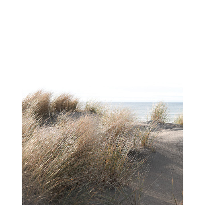 Wallpaper-Panel Dunes 4h. for Bedroom Living Room Kitchen 2.12x2.7m Smart Art Easy