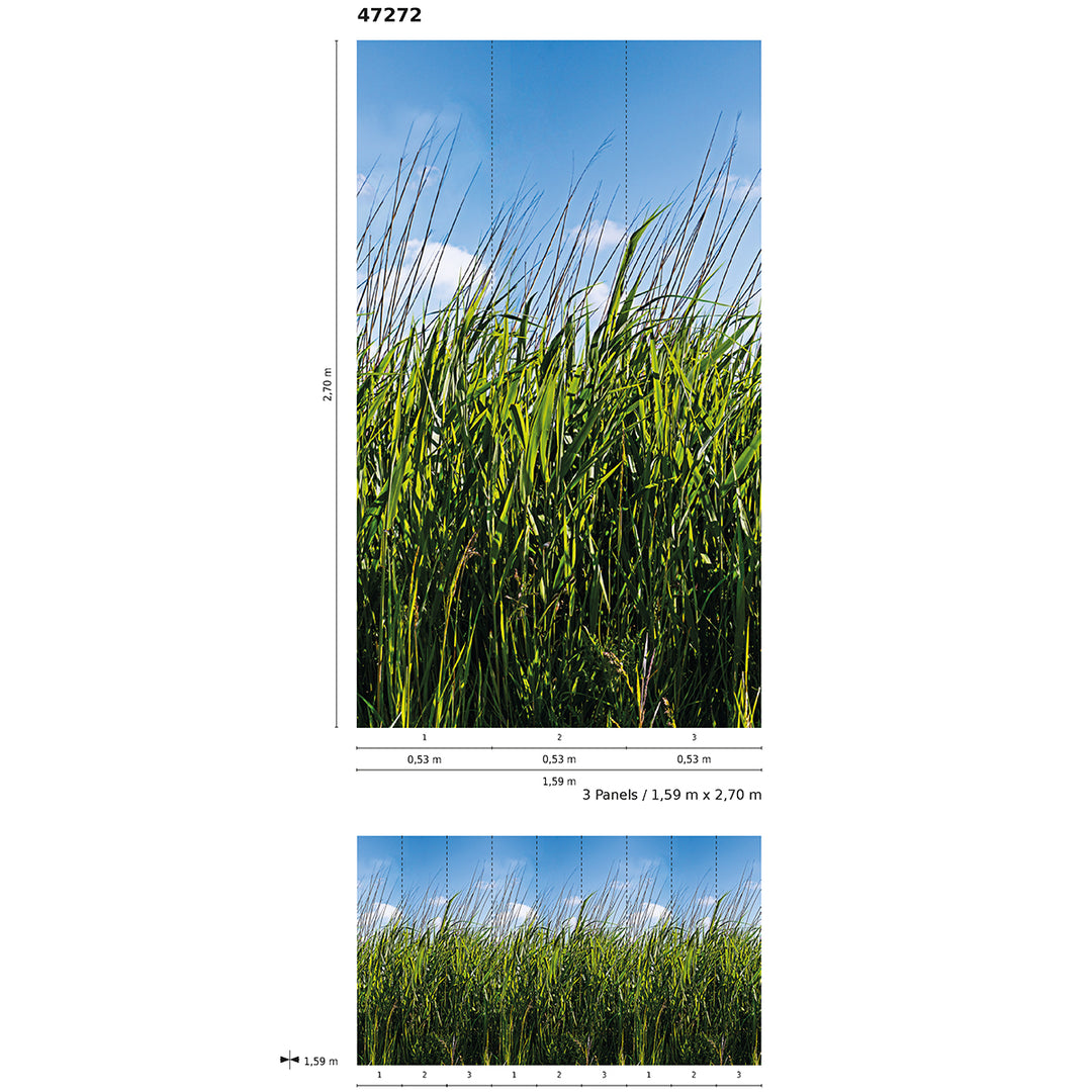 Wallpaper-Panel Reeds 3h. for Bedroom Living Room Kitchen 1.59x2.7m Smart Art Easy