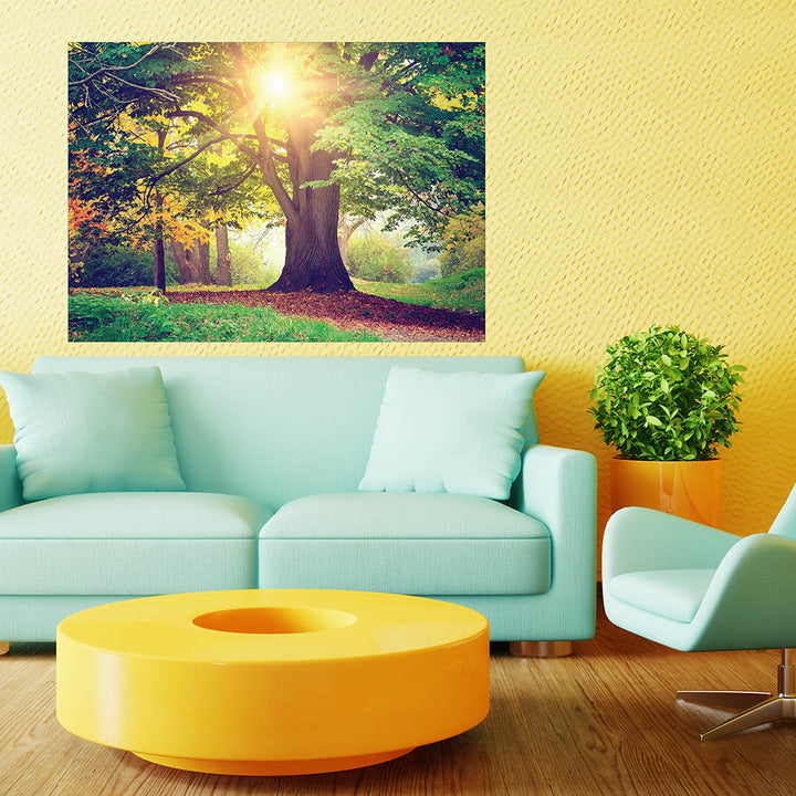 Photo Wallpaper Fleece 160x110/1h Poster Forest