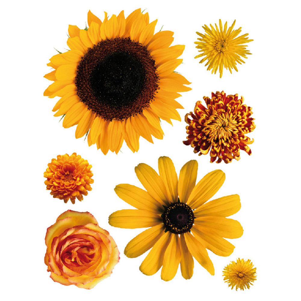 Sticker 65x85 Orange flowers