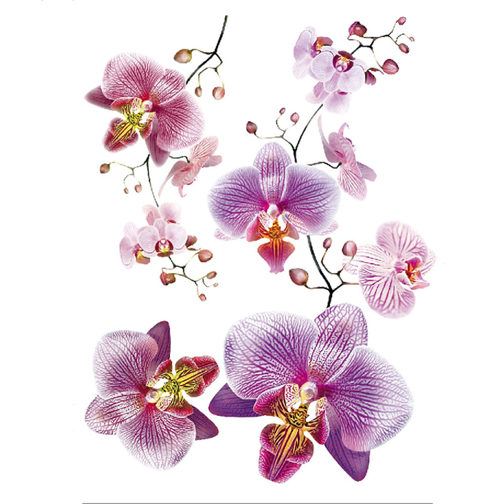 Sticker 65x85 Orchid violet