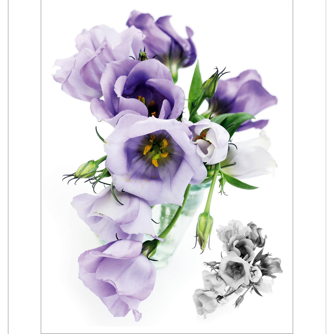 A&G stickers 65x85 cm, 1 pc., roses