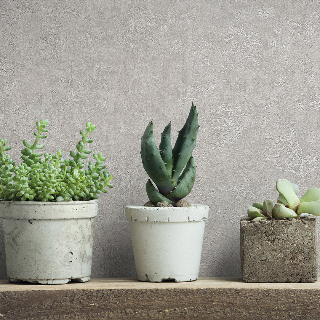 Високоустойчив Тапет Мазилка Сиво Кумано