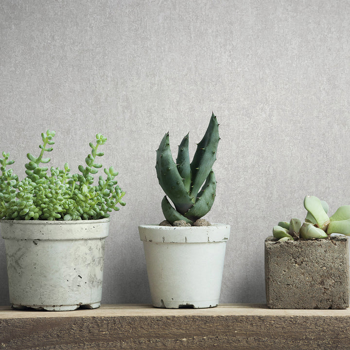 Луксозен Тапет Фина мазилка Светло сиво City Romance