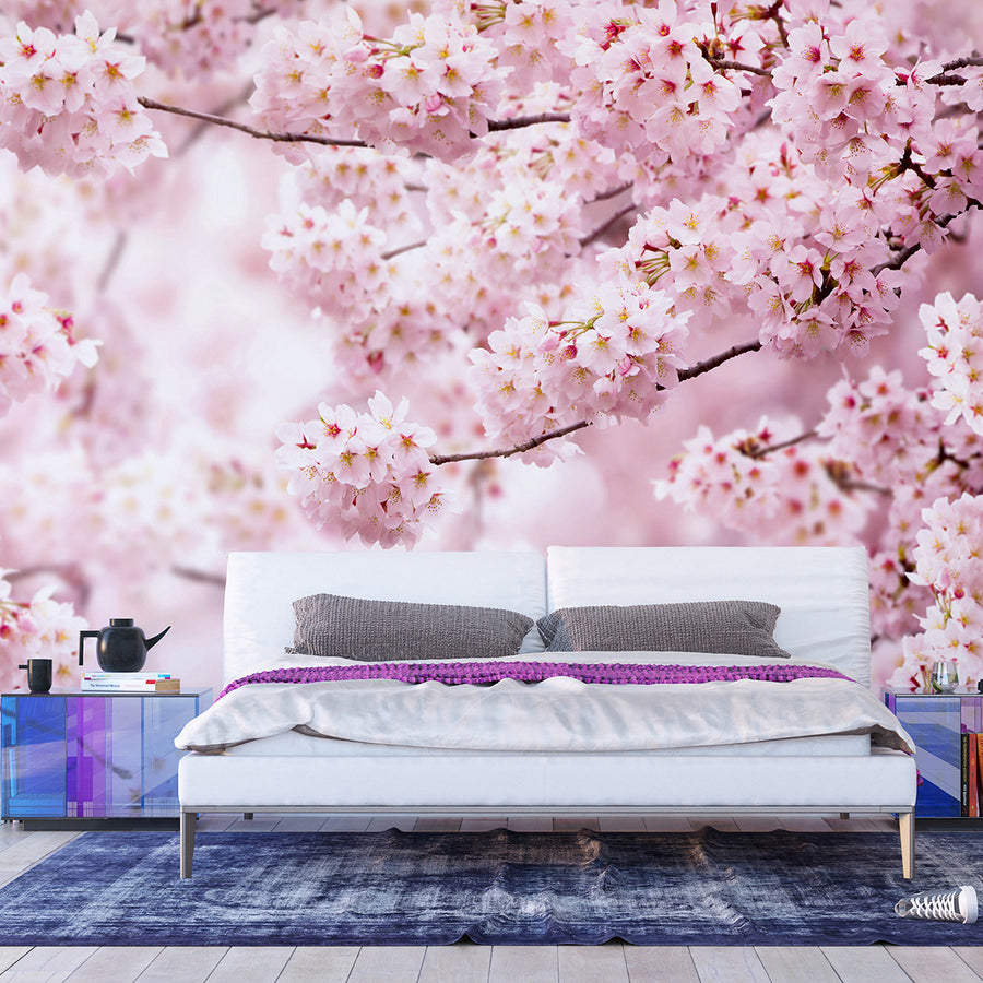 Фототапет Стандарт 360/254 см Сакура