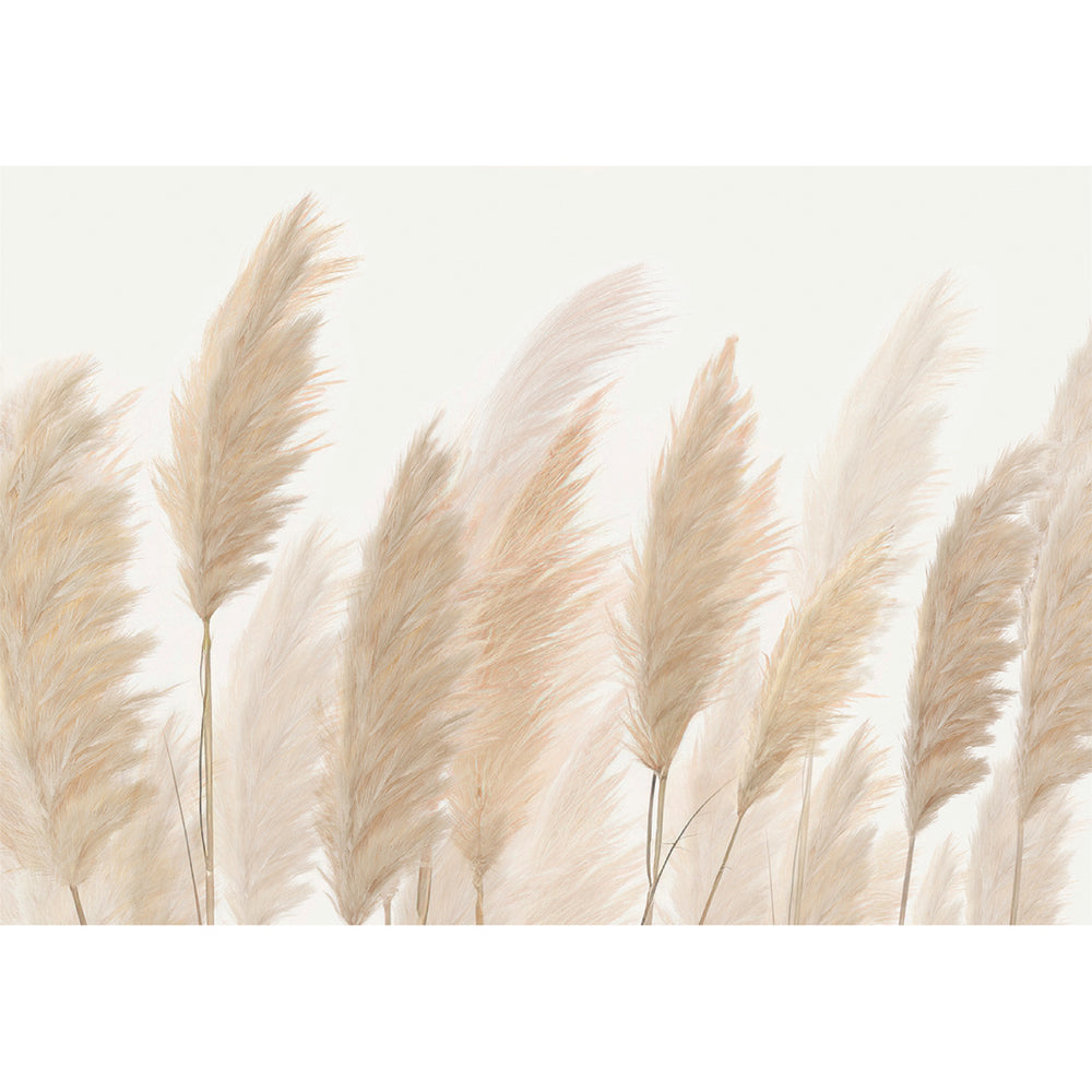 Фототапет Стандарт 360/254 см Пампаски треви