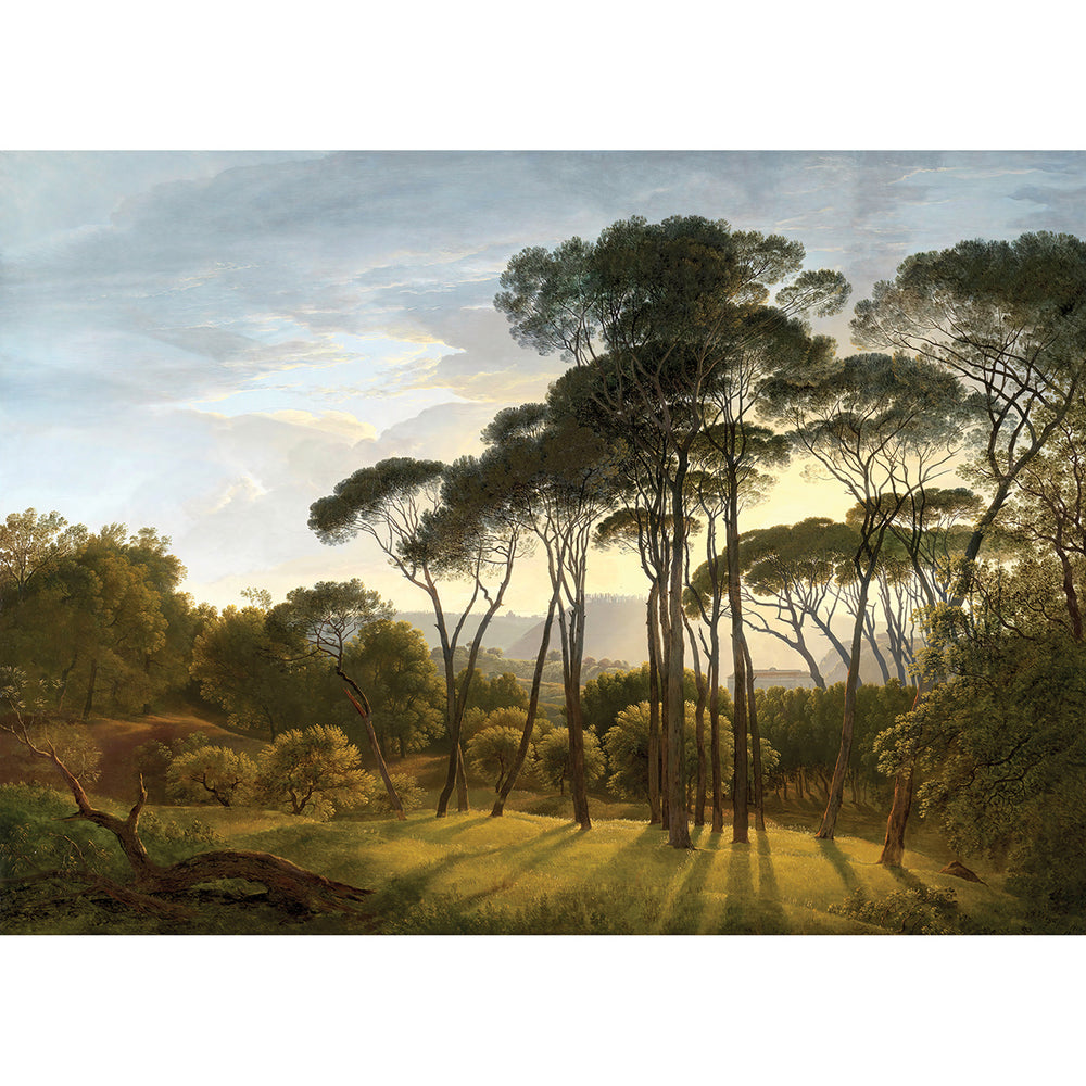 Фототапет Стандарт 360/254 см Гора пинии