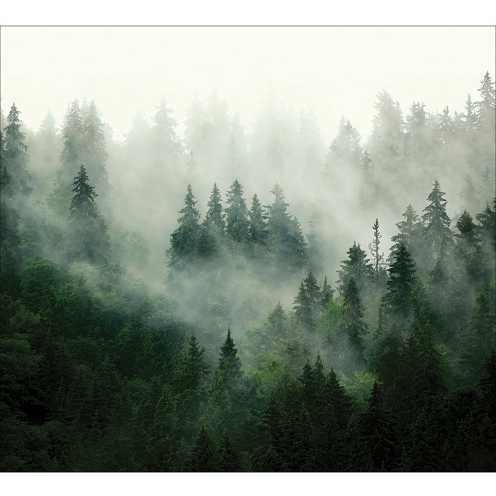 Фототапет Премиум 300/270 см Елхова магия