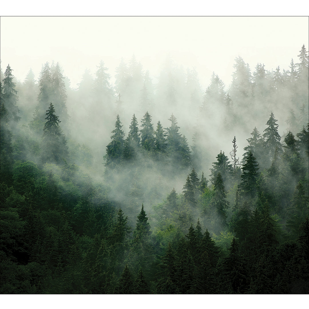 Фототапет Премиум 300/270 см Елхова магия