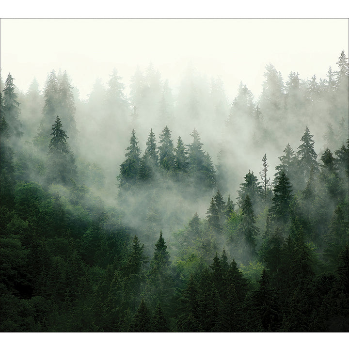 Фототапет Премиум 300/270 см Елхова магия