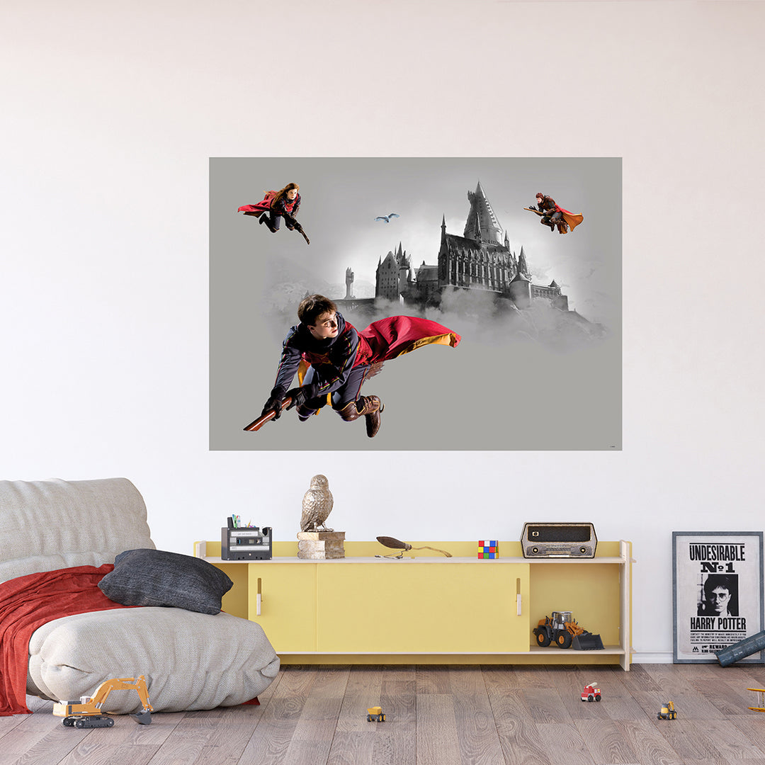 Дестки Фототапет Дисни 155/110 см Хари Потър куидич
