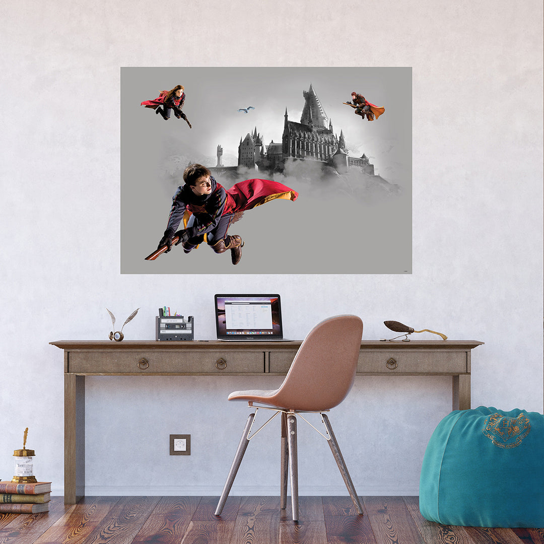 Дестки Фототапет Дисни 155/110 см Хари Потър куидич