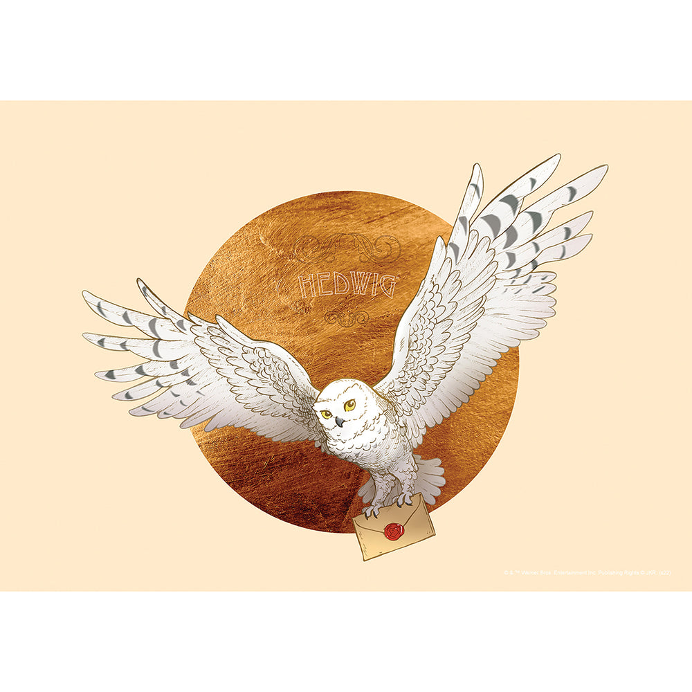 Дестки Фототапет Дисни 155/110 см Хари Потър сова