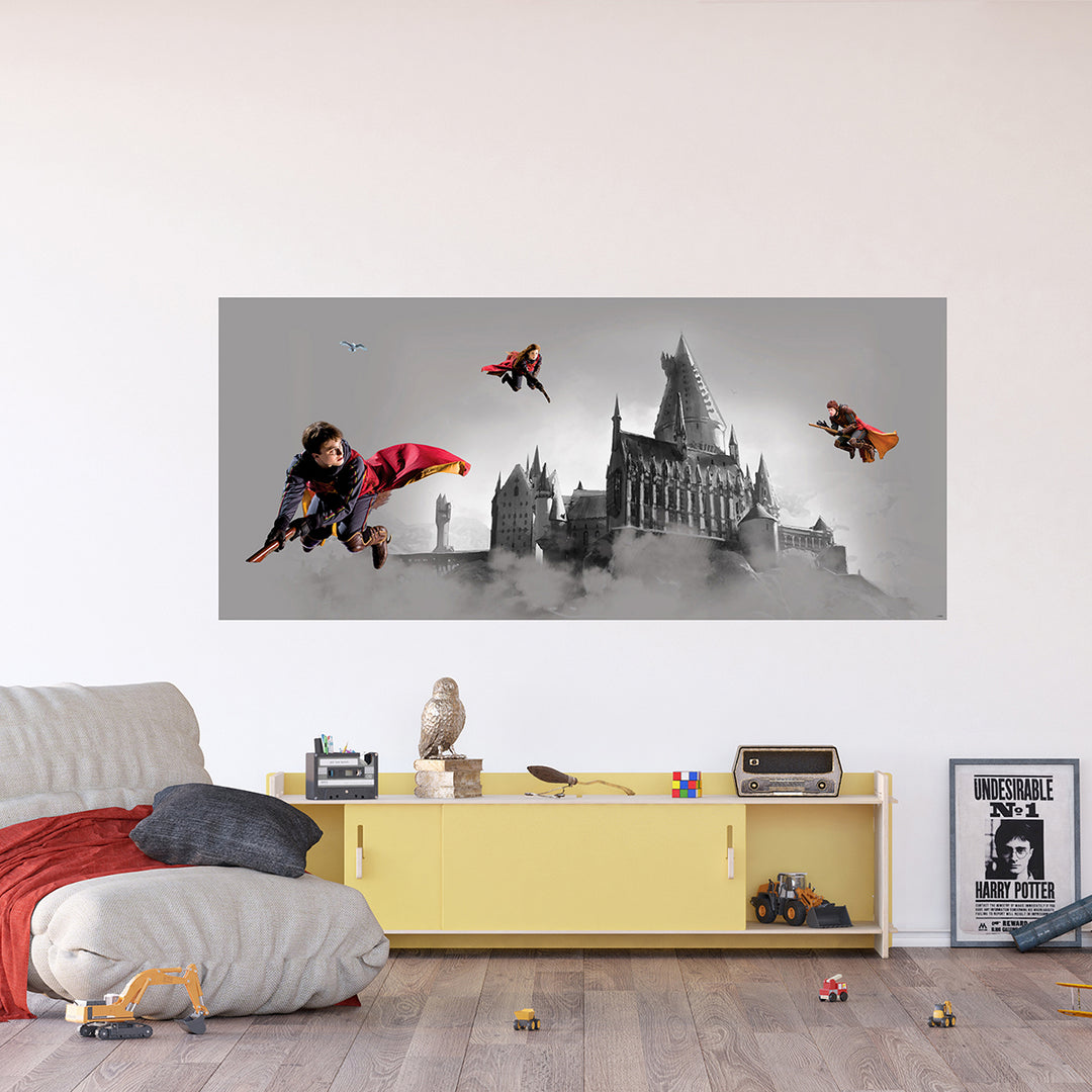 Дестки Фототапет Дисни 170/75 см Хари Потър куидич