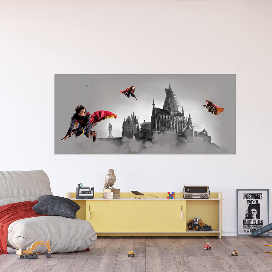 Дестки Фототапет Дисни 170/75 см Хари Потър куидич