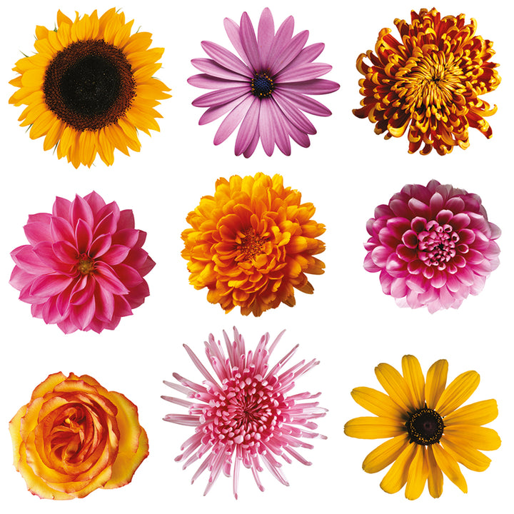 Стикер Цветя 30/30 см