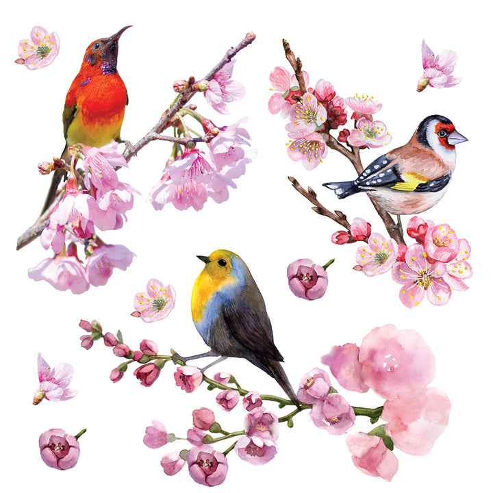 Стикер Пойни птици 30/30 см